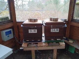 Unsere Stockwaage am Lehrbienenstand beelogger lbs