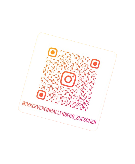 instagram_hallenberg